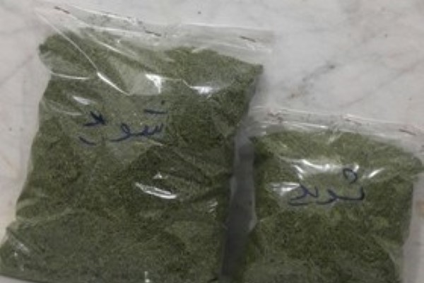 تصویر 1 از خرید و قیمت شوید خشک بسته بندی + فروش صادراتی
